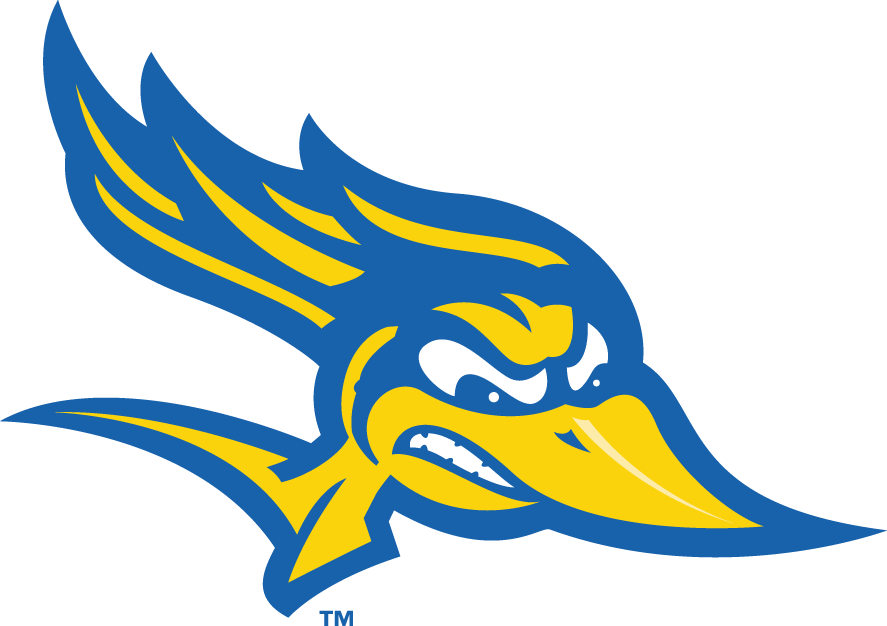 CSU Bakersfield Roadrunners 2006-Pres Alternate Logo v3 DIY iron on transfer (heat transfer)